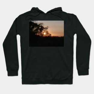 Sunset or sundown in out of focus Hoodie